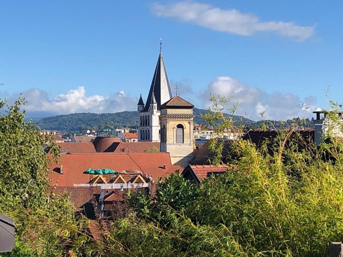 Appartement Dans La Vieille Ville, En Face Du Chateau 阿讷西 外观 照片