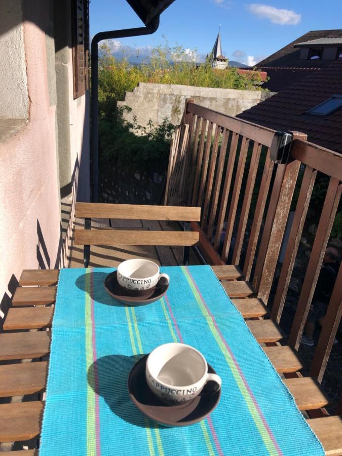 Appartement Dans La Vieille Ville, En Face Du Chateau 阿讷西 外观 照片